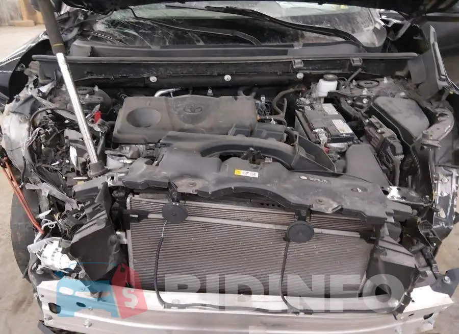 2T3F1RFV6PC372576 Photo# 10