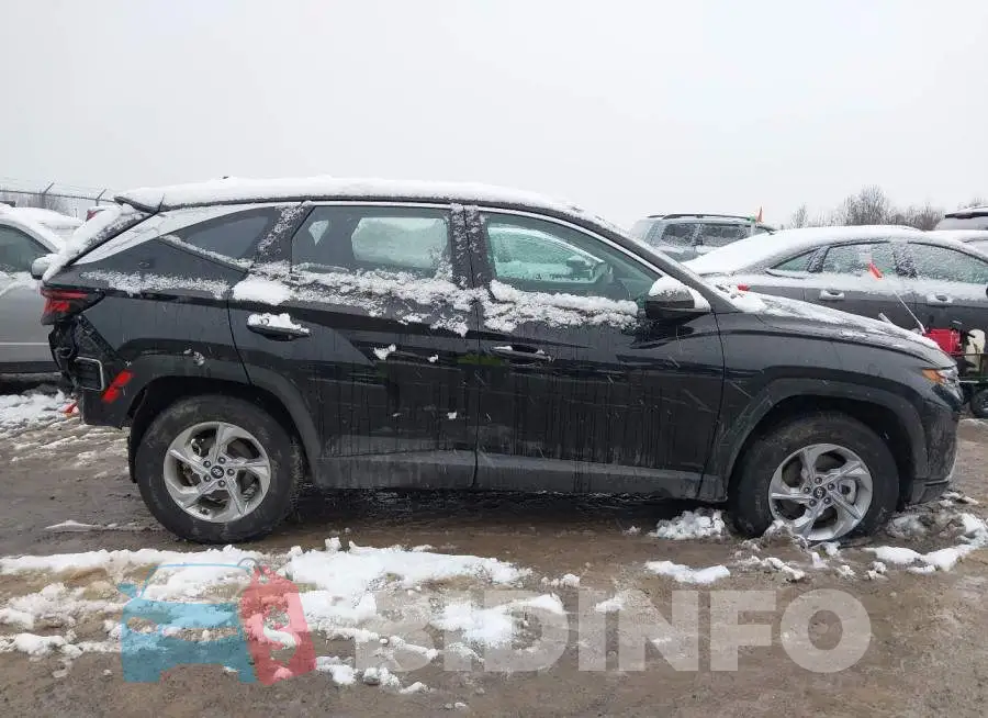 5NMJACDE8RH406596 Photo# 14