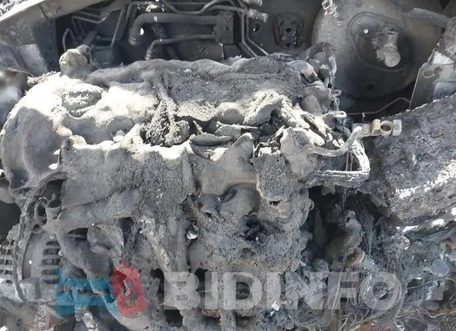 KNDERCAA4N7242616 Photo# 10