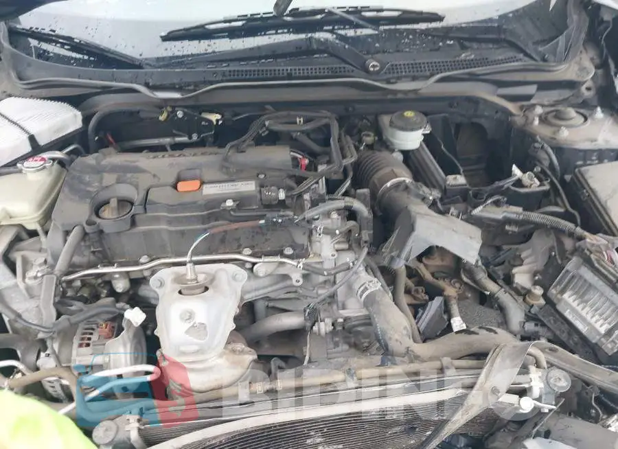 19XFC2F5XGE026865 Photo# 10