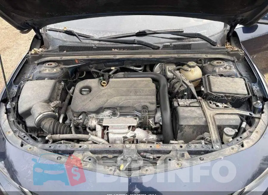 1G1ZD5ST3JF181859 Photo# 10