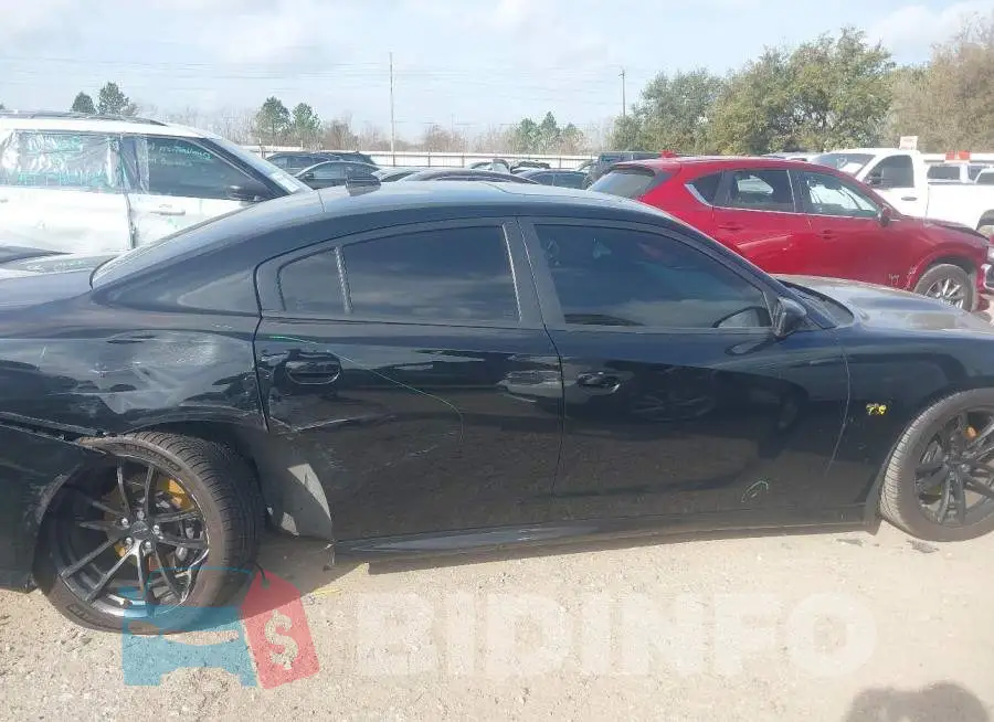 2C3CDXGJ9PH629243 Photo# 13