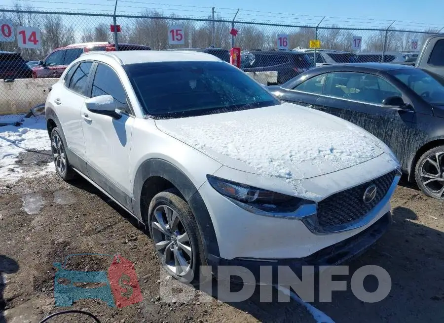 3MVDMBBL6NM400169 Photo# 1