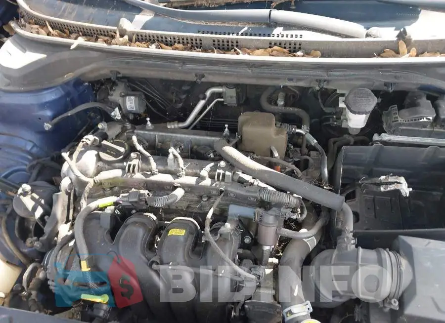 3KPC24A35KE067906 Photo# 10