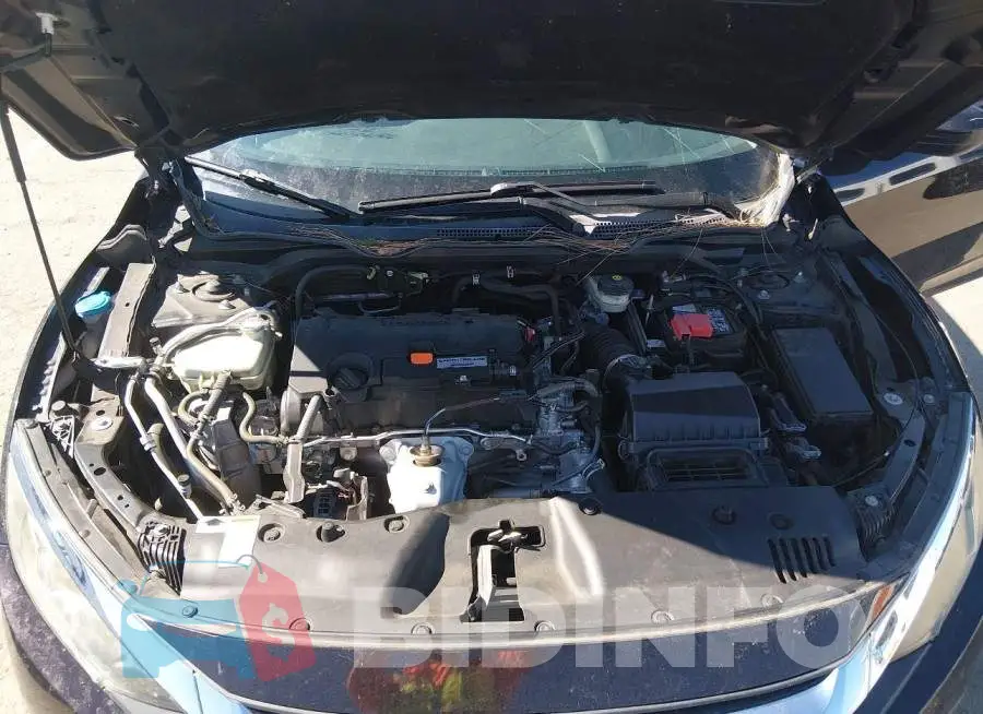 19XFC2F51GE245097 Photo# 10