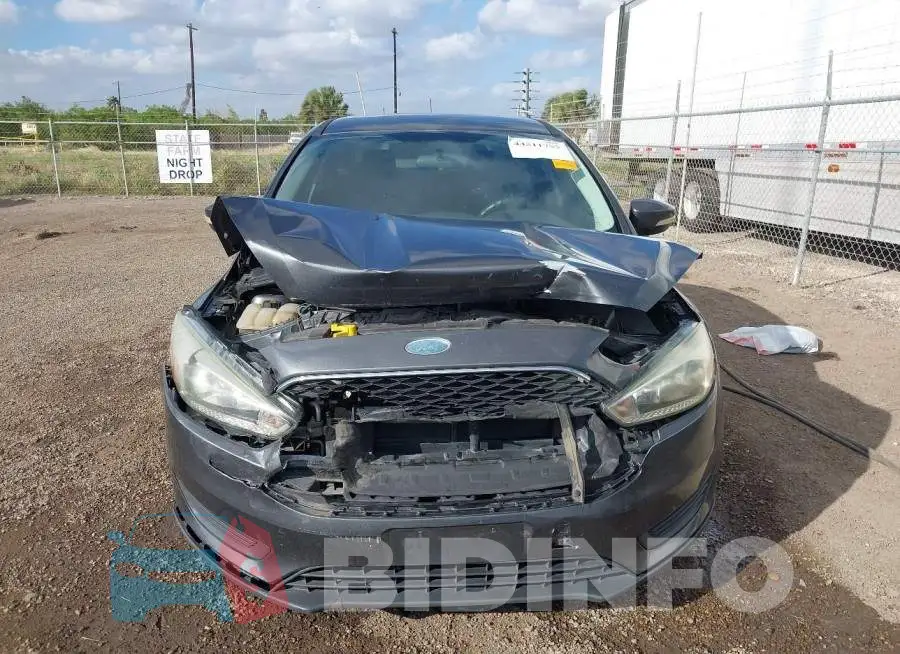 1FADP3F21GL391181 Photo# 12