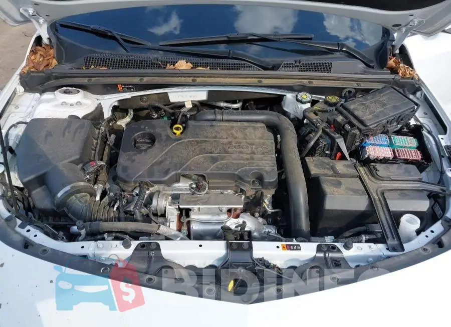 1G1ZB5ST7RF182580 Photo# 10