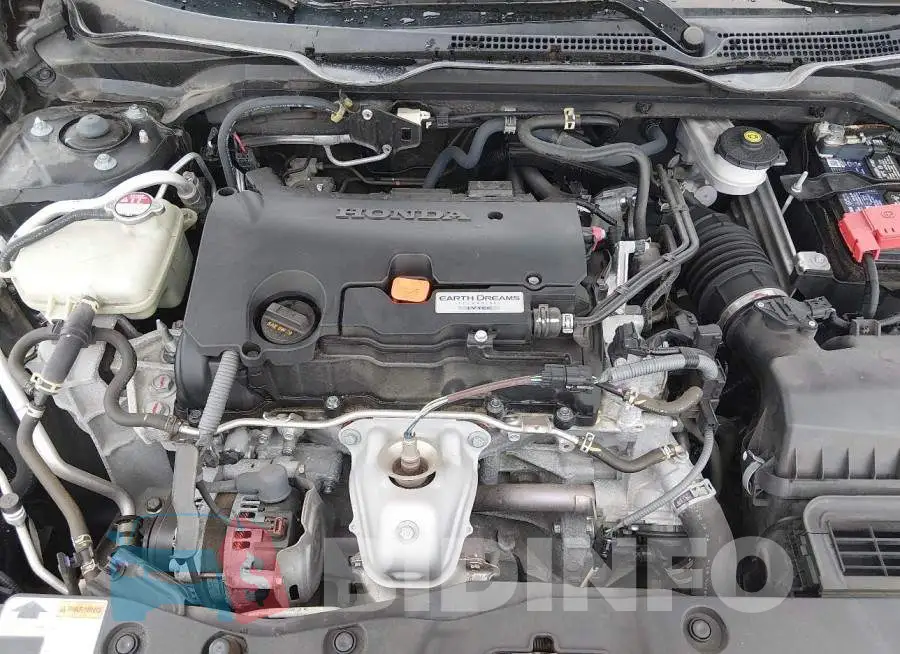 19XFC2F68LE028732 Photo# 10