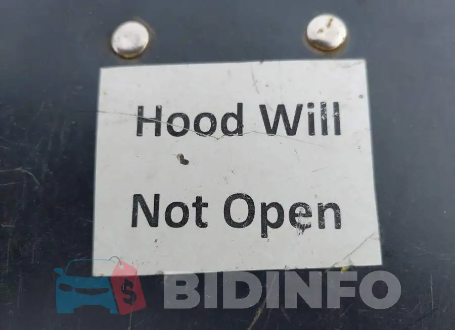 1FAHP2E80JG132585 Photo# 10