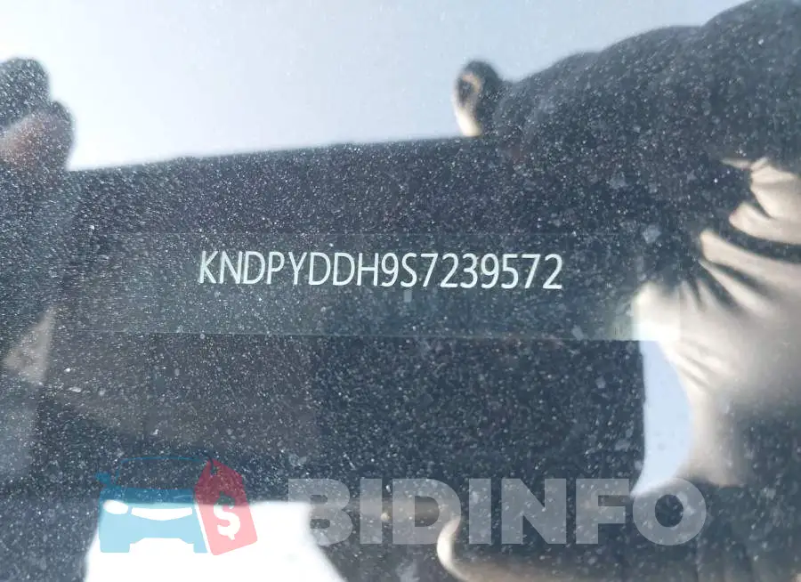 KNDPYDDH9S7239572 Photo# 9