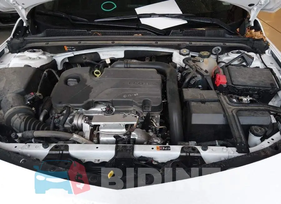 1G1ZD5ST2RF126217 Photo# 10