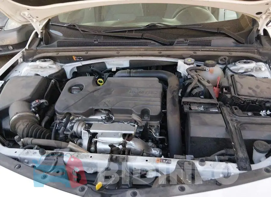 1G1ZD5ST1RF228771 Photo# 10