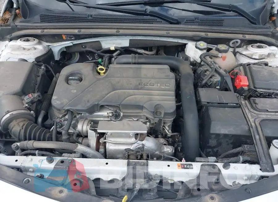 1G1ZD5ST5RF132349 Photo# 10