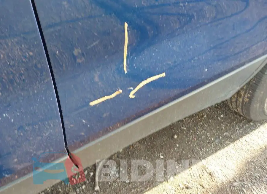 3GNCJPSB3KL343920 Photo# 18