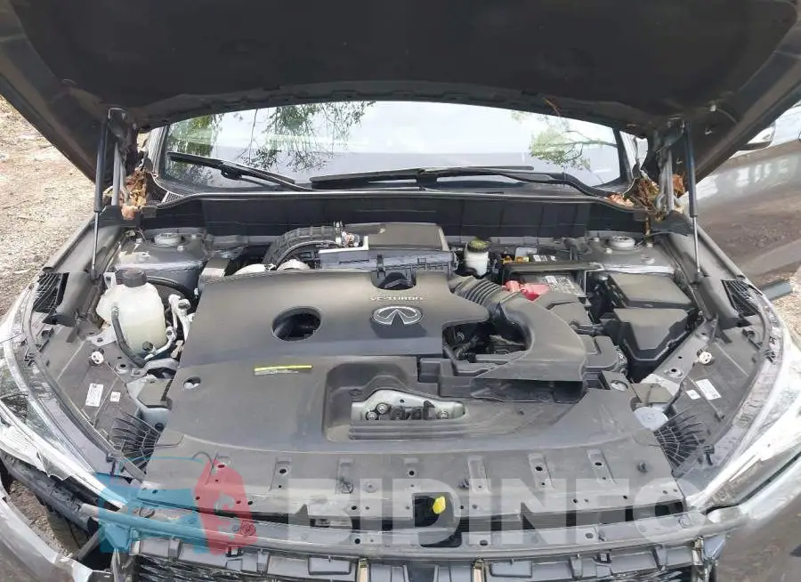 3PCAJ5BB0MF102760 Photo# 10