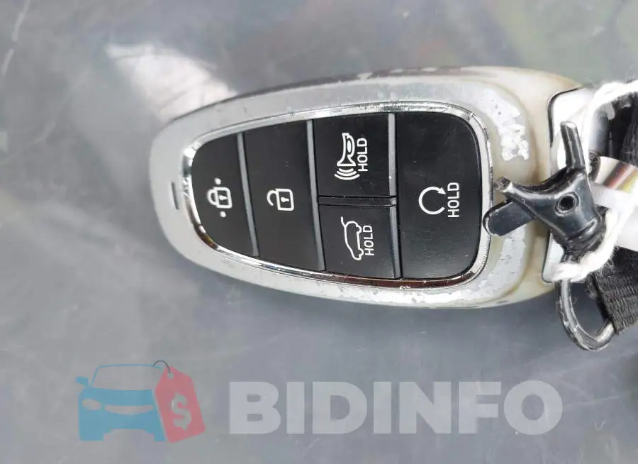 5NMJF3AE6PH206321 Photo# 11