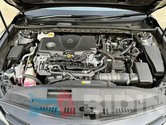 AXVH701012798 Photo# 8
