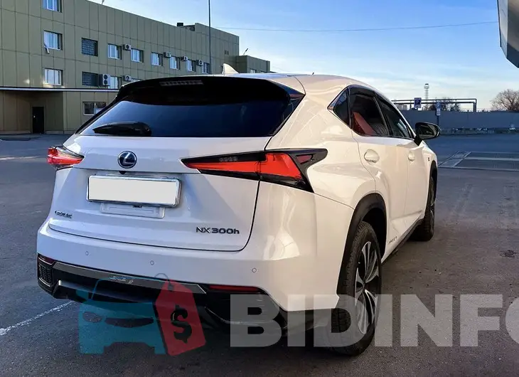 JTJBJRBZ602140822 Photo# 2