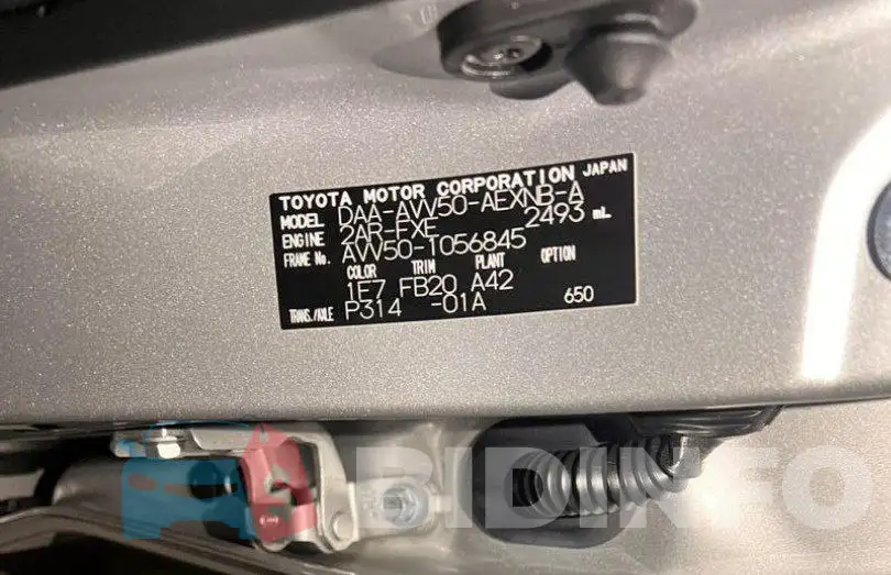 AVV501056845 Photo# 16