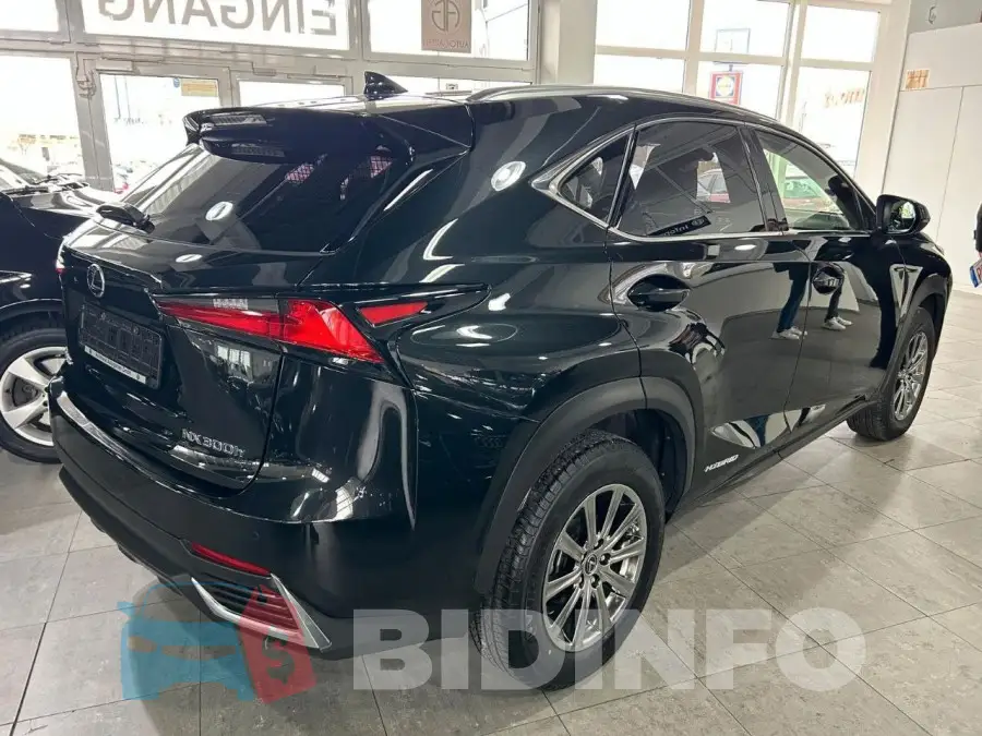 JTJBJRBZ702147939 Photo# 3