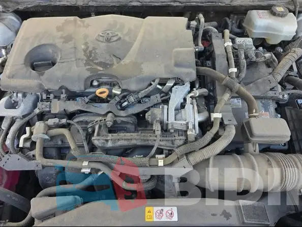 4T1F31AK2LU544256 Photo# 10